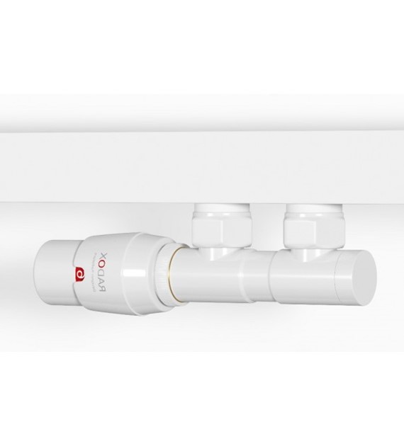 ZAWÓR ZESPOLONY RX-9 001 LEWY  GZ 3/4 + ZŁĄCZKI